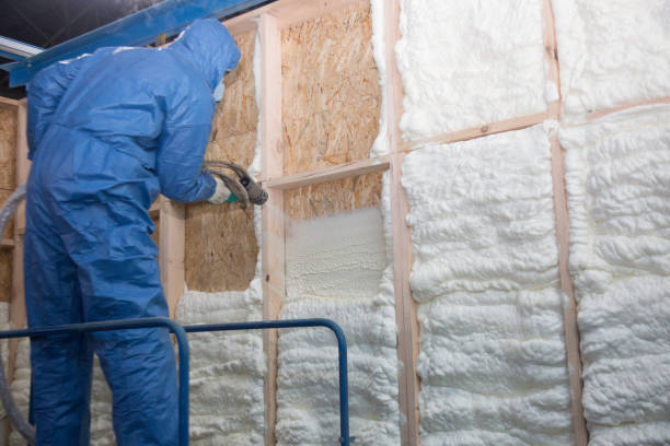 Types of Insulation We Offer in Gate City, VA